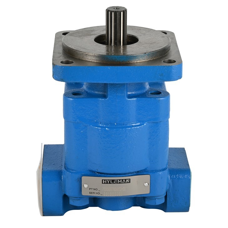 Commercial External Gear Pump For Excavator Machinery CASE 580L-257953A1580SL-257954A1580SK-D140801-MG229