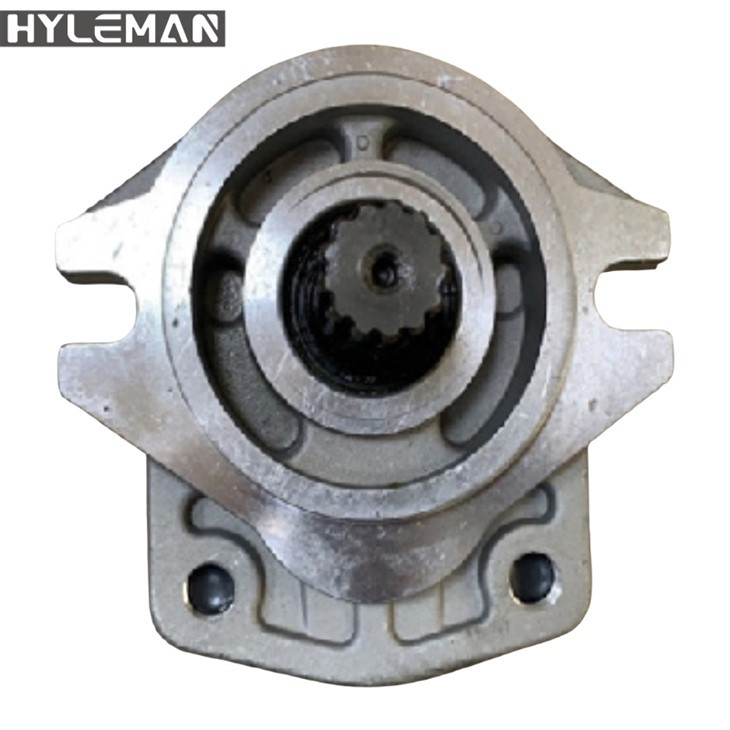 Hydraulické pilotní zubové čerpadlo Sgp2-44D-L13t