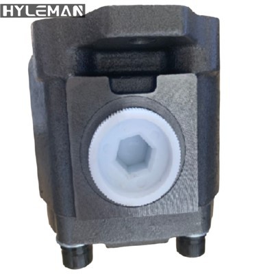 Díly na opravu hydraulického čerpadla A10vd43 Yc-24