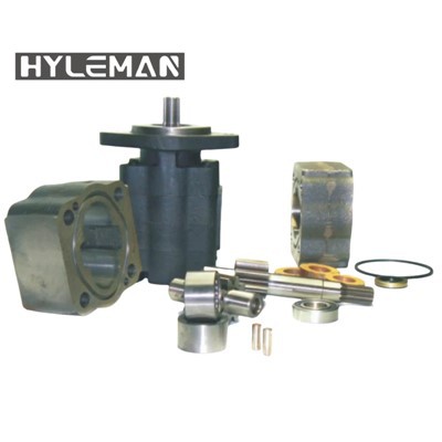 P30/31 Hydraulické převodové čerpadlo náhradní díly 312-8215-100