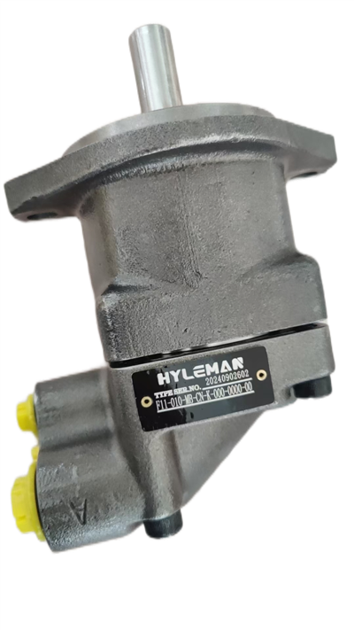 Radiální pístový motor F11/F12