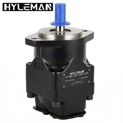 Variabilní lamelové čerpadlo